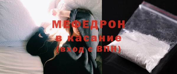 дживик Няндома