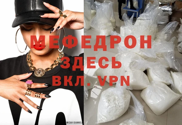 дживик Няндома