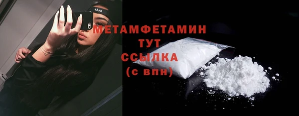 дживик Няндома