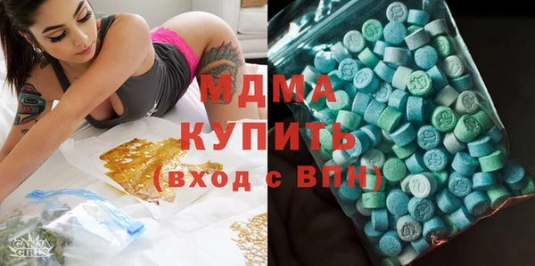 дживик Няндома
