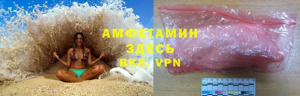 дживик Няндома