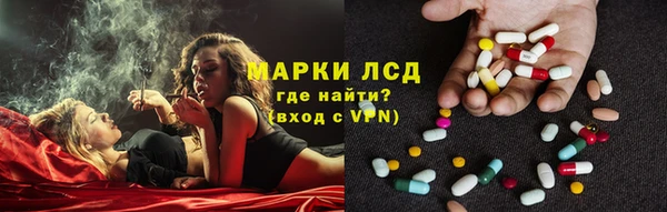дживик Няндома