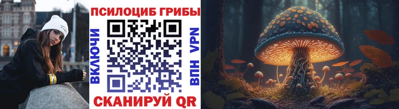 blacksprut онион  Зеленогорск  Псилоцибиновые грибы мицелий 