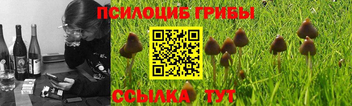 Галлюциногенные грибы Magic Shrooms  Зеленогорск  Галлюциногенные грибы MAGIC MUSHROOMS 