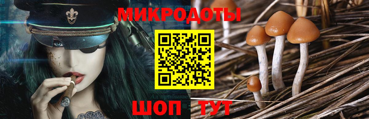 Псилоцибиновые грибы GOLDEN TEACHER Зеленогорск