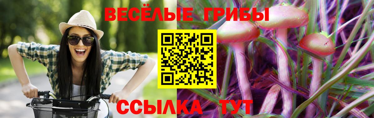 Зеленогорск  Галлюциногенные грибы Psilocybine cubensis  Вход с VPN  Псилоцибиновые грибы Magic Shrooms 