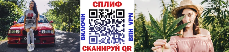 Бошки марихуана сатива  где найти   блэк спрут зеркало  Зеленогорск 